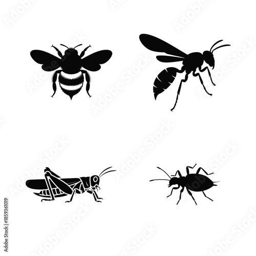 Insect vector silhouette bundle set 