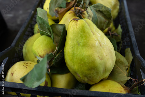 Fresh Yellow Quince Fruit With Green Leaves In Plastic Crate