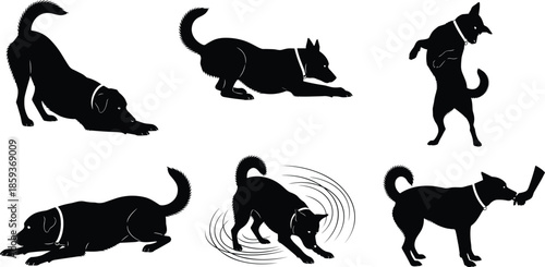 Black dog silhouette illustration, playful canine poses, active pet behavior, vector animal art, motion, toy, stick, crouch, bow, spin