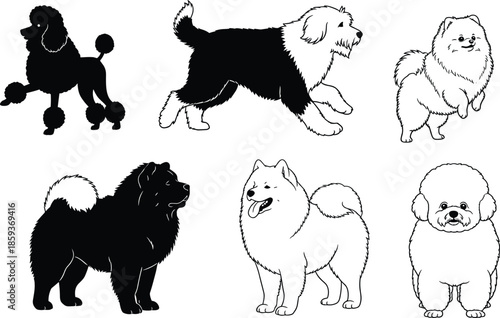 Cartoon dog breeds, cute pet illustrations, fluffy dogs, poodle, pomeranian, chow chow, samoyed, bichon frise, sheepdog, vector art