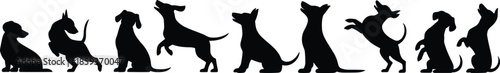 Dog silhouettes in motion, sitting dog pose, jumping canine, pet behavior, black outline, minimalist style, animal posture, breed variety