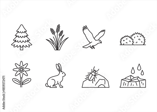 Mountain Flora and Fauna Linear Icon Set with Alpine Plants and Wildlife