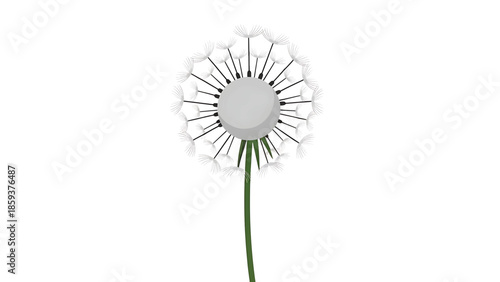 A digitally created close-up illustration of a dandelion seed head on a green stem, featuring fluffy, white seeds against white
