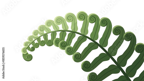 A digitally rendered, semi-realistic illustration of a curling fern frond in various shades of green against a white background. The leaves have a textured appearance