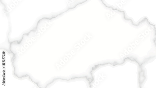 A digitally generated abstract design featuring a white background with subtle gray, irregular, and flowing vein-like patterns