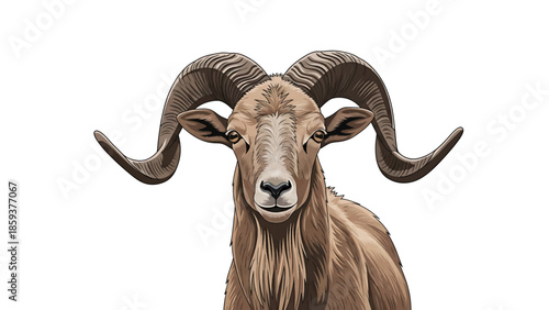 A detailed digital illustration of a majestic ram's head. The animal has large, curled horns and is facing forward with a neutral expression