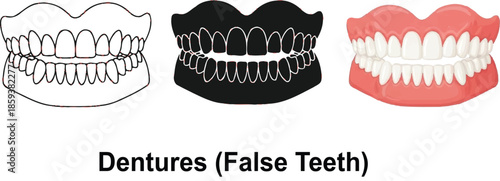 Collection of dentures including outline silhouette and realistic styles representing dental prosthetics for oral health and cosmetic improvement