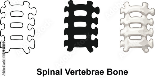 Set of spinal vertebrae bone icons representing outline solid black and realistic styles for medical and anatomical illustration isolated on white