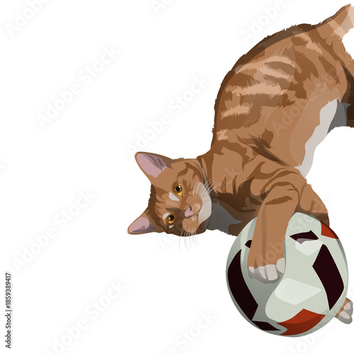 cat playing with a ball
