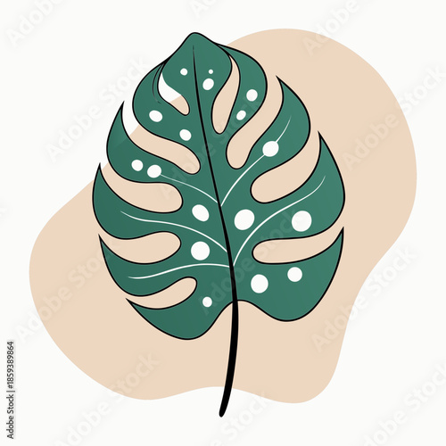 Minimalist Monstera deliciosa tropical leaf illustration