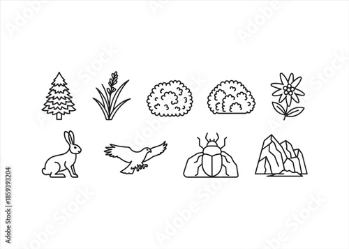 Mountain Flora and Fauna Linear Icon Set
