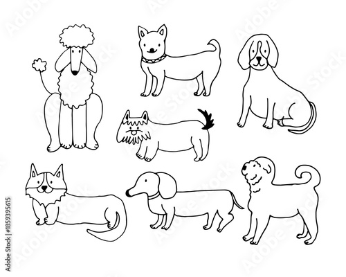 Set of different dog breeds: poodle, corgi, terrier, pug, beagle, chihuahua, dachshund. Animals. Doodle. Vector illustration. Hand drawn. Outline.
