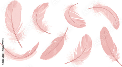 Soft Pink Feather Illustration Collection with Delicate Light Plumes and Gentle Decorative Elements Elegant Vector Set