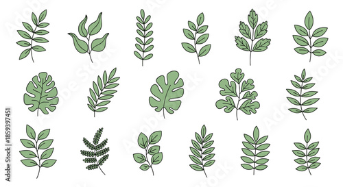 Comprehensive collection of various green leaf illustrations featuring diverse plant species on a clean white background.