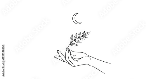 Delicate line art drawing depicts a graceful hand holding a leafy sprig beneath a slender crescent moon in a minimalist style.