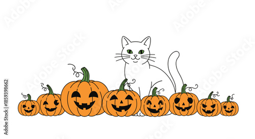 Adorable white cat sits patiently behind a long row of carved orange Halloween pumpkins with various spooky and happy faces.