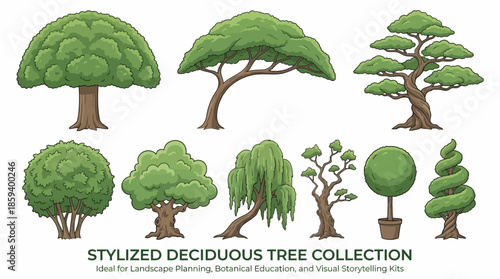 Deciduous Tree Variants Vector Set with Ten Unique Silhouettes for Botanical Education, Landscape Design, and Minimalist Nature-Themed Graphic Illustration Use