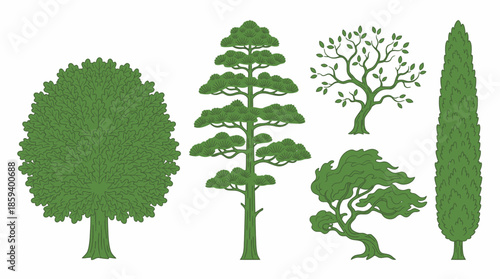 Deciduous Tree Variants Vector Set with Ten Unique Silhouettes for Botanical Education, Landscape Design, and Minimalist Nature-Themed Graphic Illustration Use
