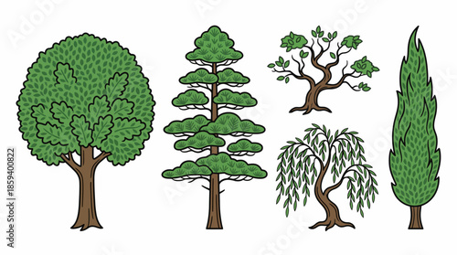 Deciduous Tree Variants Vector Set with Ten Unique Silhouettes for Botanical Education, Landscape Design, and Minimalist Nature-Themed Graphic Illustration Use