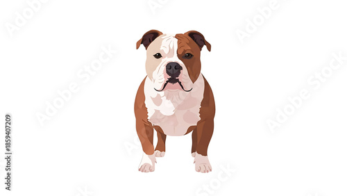 A frontal illustration of a bulldog in a simple style, with white and brown colors and textured appearance. The canine stands on a white background
