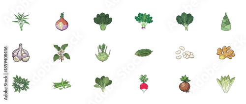 Collection of various vegetables icons featuring leafy greens and root vegetables