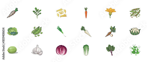 Colorful array of hand-drawn vegetables and herbs on white background