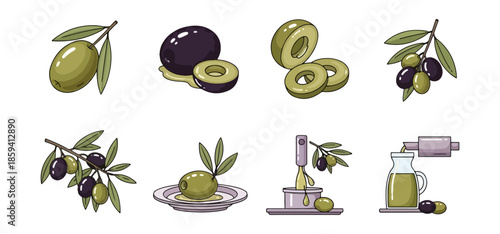 Olive varieties and oil production illustration set