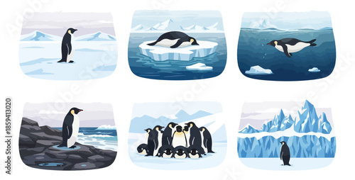 Penguins in arctic environment displaying diverse activities