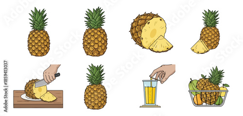 Pineapple illustrations set depicting whole fruits slices and juice preparation