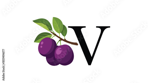 Elegant alphabet design for the letter V, accompanied by a realistic illustration of a branch with purple plums and green leaves.