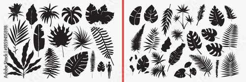 tropical leaf silhouettes vector, palm leaf clipart, jungle foliage svg, exotic leaf illustration, rainforest plant graphics, black leaf silhouettes, botanical vector art, tropical decor design, leaf 