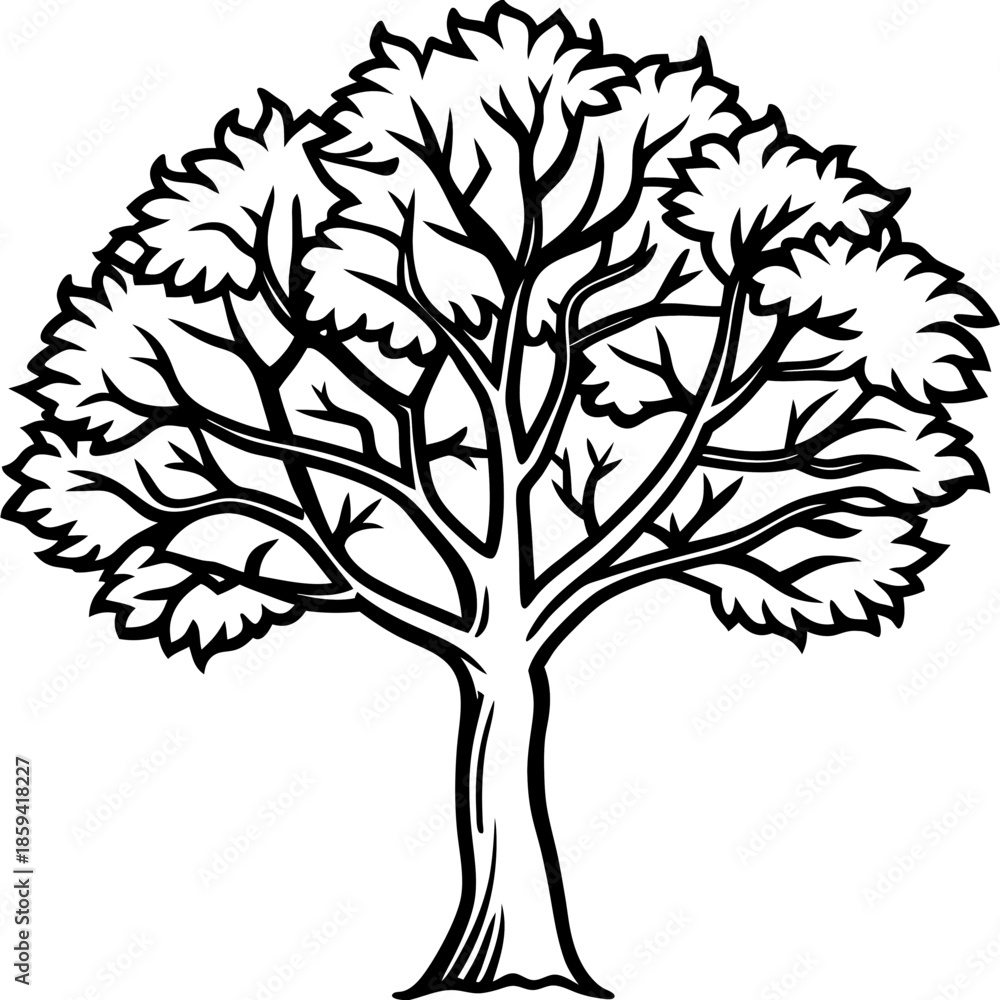 Obraz premium Locust tree line art vector