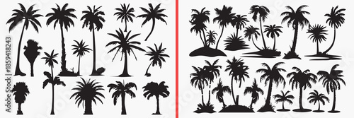 palm tree silhouettes vector, tropical tree clipart, coconut tree svg, summer beach illustration, island nature graphics, black palm silhouettes, tropical vector art, beach tree design, palm shape col