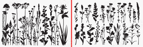 wild plant silhouettes vector, botanical flower clipart, meadow plants svg, nature floral illustration, garden plant graphics, black plant silhouettes, botanical vector art, wildflower design elements