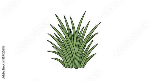 A vibrant, hand-drawn illustration of a lush green tuft of grass with detailed blades, isolated on a clean white background for easy use in designs.