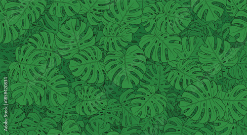 A lush and dense background pattern of overlapping green monstera leaves, creating a seamless tropical jungle foliage texture for wallpapers or textiles.