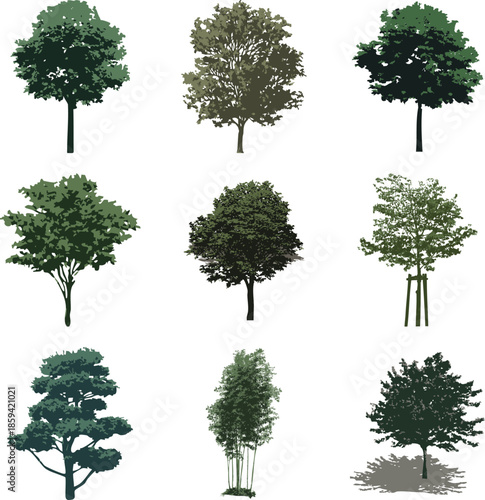 Set of 9 green vector trees, flat foliage silhouettes, isolated.