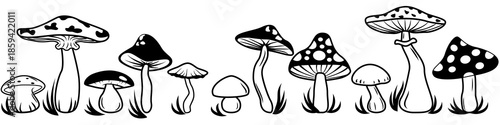 Various minimalistic mushrooms, black outline on a white background, vector image