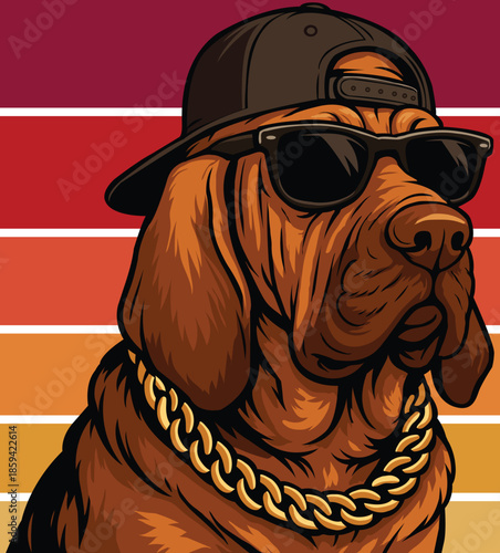 Cool Bloodhound Dog Vector Mascot in Sunglasses and Gold Chain. Vector illustration of a cool Bloodhound dog character with attitude.

