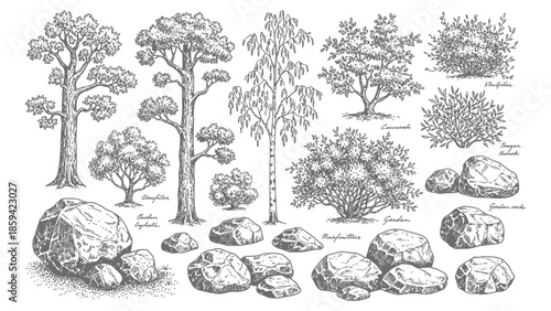 Minimal sketch-style CAD tree line drawings, side view..