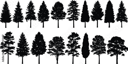 Pine tree and fir forest silhouette set, coniferous spruce collection, nature landscape element, isolated black shape, woodland, cad drawing flat vector illustration