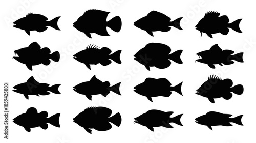 Collection of diverse fish silhouettes: a comprehensive set of black aquatic animal shapes