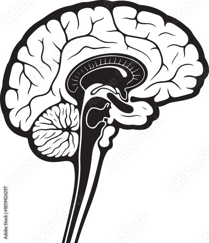 Human brain silhouette with abstract nerve pathways inside multiple sclerosis awareness fusion