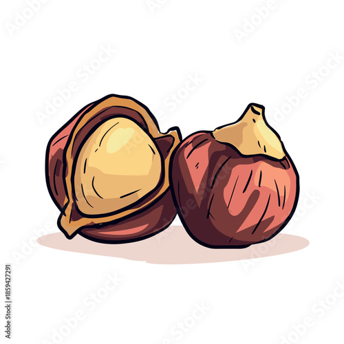 Two illustrated hazelnuts, one whole and one cracked open, showcasing the edible kernel inside in a simple, hand-drawn cartoon style with bold outlines and flat colors