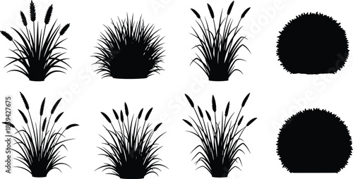 Grass clump and bush silhouette set, garden meadow plant collection, nature landscape element, black isolated shape, cad drawing flat vector illustration