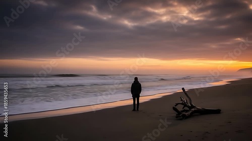silhouette on sunset beach with driftwood and calm ocean waves