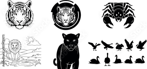 Diverse animal illustrations featuring mammals and birds in various styles