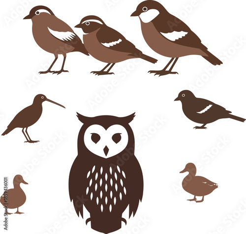 Brown birds and owl animal group illustration, Variety of birds