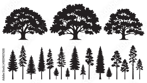 Tropical Tree Silhouette Line Drawing Set, Side View Vector Outlines for Architecture and Landscape Design.