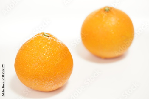 新鮮なオレンジ　紅まどんな